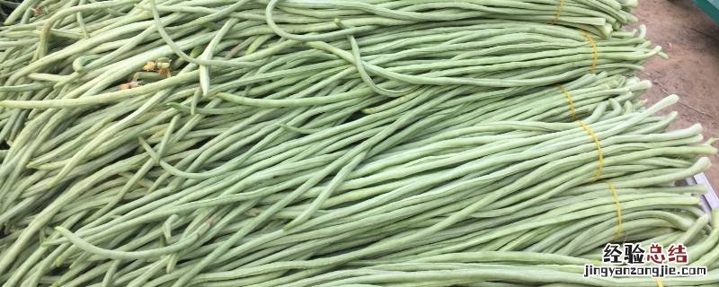 豆角可以直接冻上冬天吃吗 怎么冻豆角留到冬天吃