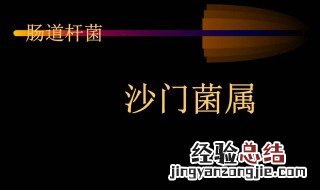 沙门菌属视频 沙门菌的ppt可以怎么做