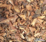 半个西瓜皮图片 西瓜皮图片