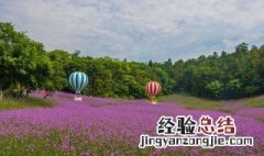 江宁谷里有什么好玩的景点