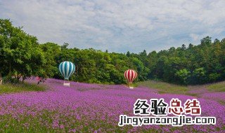 江宁谷里有什么好玩的景点