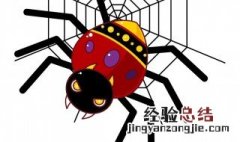 做梦梦到很多黑蜘蛛是什么意思 梦见很多黑蜘蛛是什么预兆