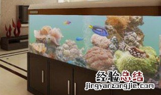 客厅放鱼缸好吗 客厅放鱼缸好吗,点击了解更多信息
