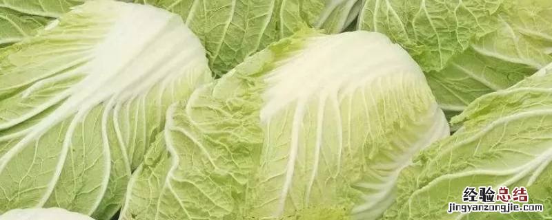 小白菜怎么做好吃又简单 小白菜怎么做好吃呢