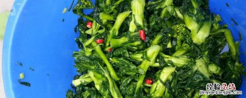 怎么把青菜腌盐菜 青菜怎样腌制盐菜