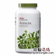 苜蓿草 苜蓿草的功效与作用
