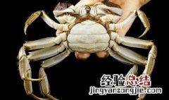 啤酒炒螃蟹 啤酒炒活蟹