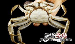 啤酒炒螃蟹 啤酒炒活蟹