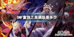 DNF富饶之泉满级是多少
