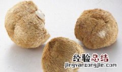 猴头菌菇粉怎么吃效果最好 猴头菌菇粉怎么吃