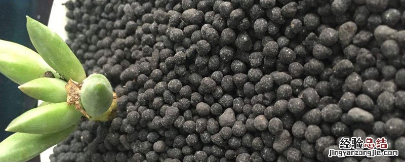 菌肥里的菌能冻死吗? 冬季能把菌肥冻死吗