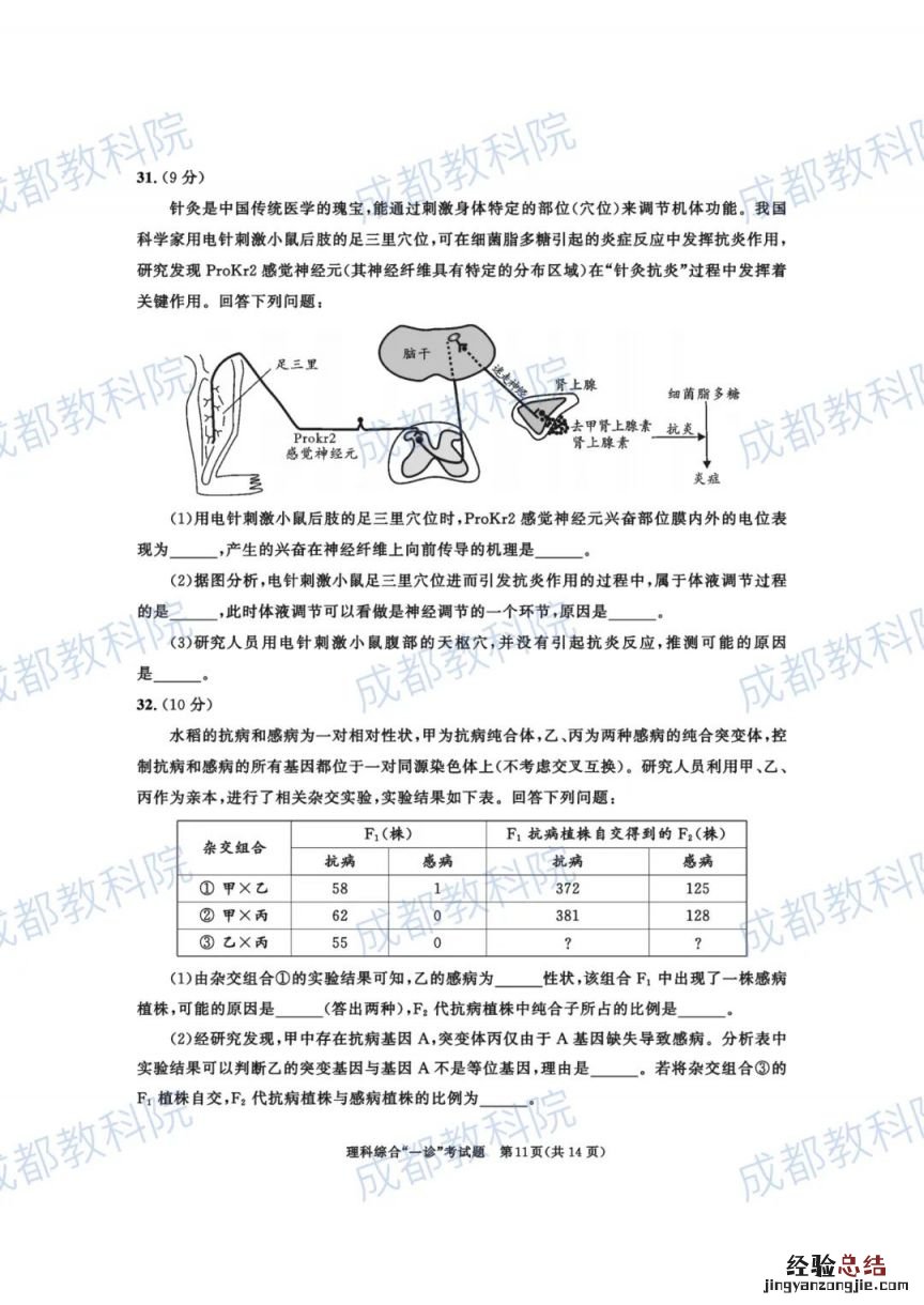 成都2018级高三一诊理综答案 2023成都高三一诊试卷及答案