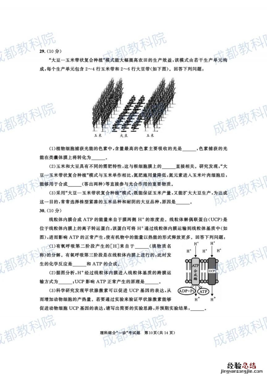 成都2018级高三一诊理综答案 2023成都高三一诊试卷及答案
