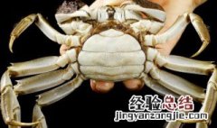 大闸蟹的正确煮法 大闸蟹的正确煮法图片