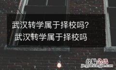 武漢轉學屬于擇校嗎？ 武汉转学属于择校吗
