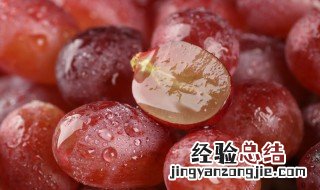 提子在冬天怎么保存方法 提子常温下如何保鲜