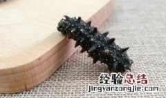 海参制作方法步骤 海参制作方法大全集