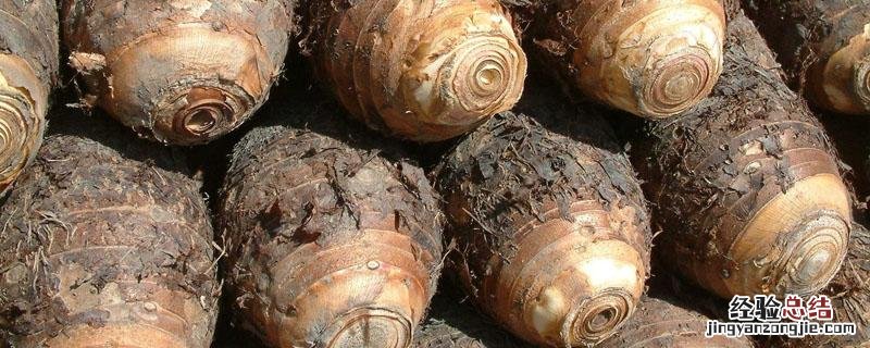 芋头冻了以后可以吃吗 芋头冻了还可以食用么