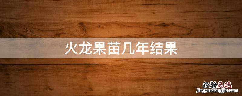 火龙果苗几年结果 火龙果苗几年长果