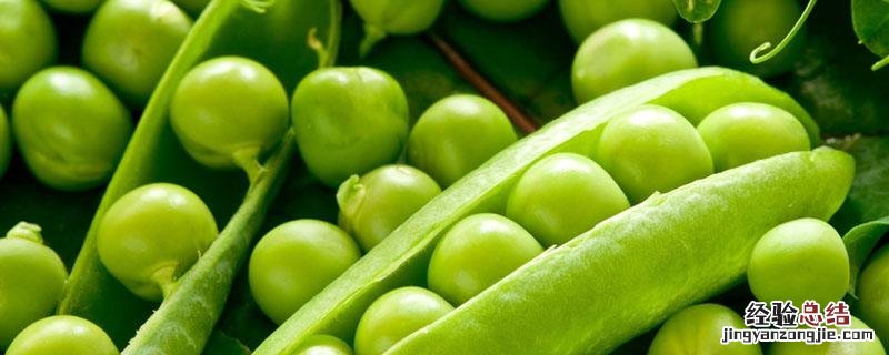 冬豆和荷兰豆的区别 冬豆和豌豆的区别
