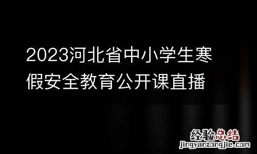 2023河北省中小学生寒假安全教育公开课直播回放
