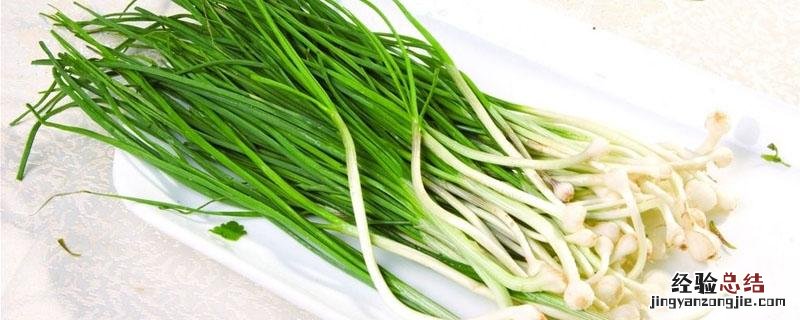 冬葱怎么保存 冬季葱怎么保存