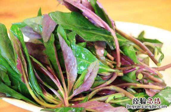观音菜的食用注意事项和禁忌有哪些 观音菜的食用注意事项和禁忌有哪些图片