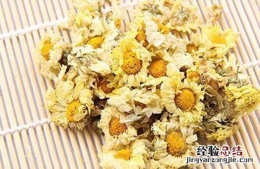 杭白菊的功效与作用及禁忌有哪些 杭白菊的功效与作用点的功效与作用