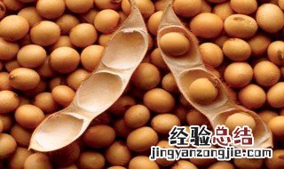 酒豆的家常做法比例 酒豆的家常做法