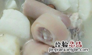 儿童猪尾骨汤怎么做 儿童猪尾骨汤怎么做的