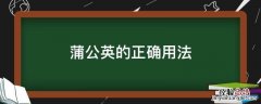 蒲公英的正确用法 蒲公英的办法是什么
