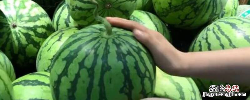 西瓜怎么挑 西瓜怎么挑新鲜的