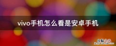 vivo手机如何看安卓版本 vivo手机怎么看是安卓手机