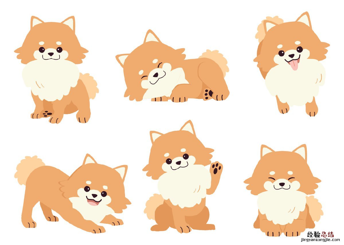 烟台犬证办理流程 烟台各地区犬证办理地点