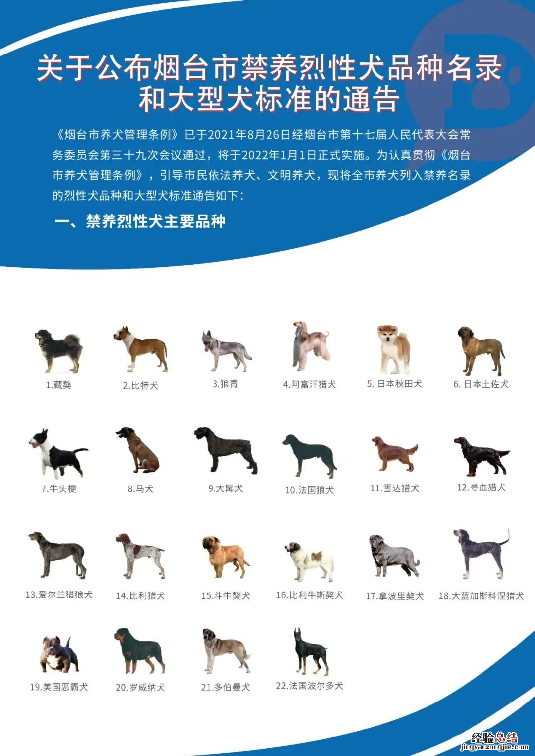 栖霞市犬只 栖霞市宠物店