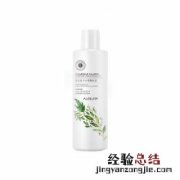 洋甘菊 洋甘菊图片