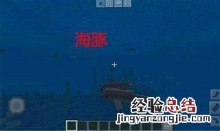 我的世界海豚的恩惠指令 我的世界海豚的恩惠指令代码