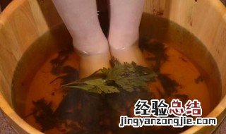 艾草水泡脚的功效与作用 艾草水泡脚的功效与作用及禁忌
