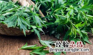 艾叶水洗头的功效与作用 生姜艾叶煮水洗头发有什么作用