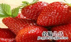 盆栽草莓怎么浇水 盆栽草莓浇水过多烂根了怎么办