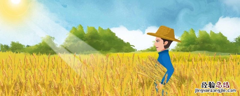 形容秋天很美的诗句有哪些 形容秋天很美的诗词