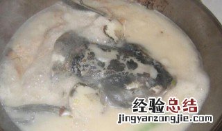 青鱼头怎么做汤好吃 青鱼头怎么做汤