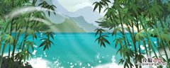 赞美竹子精神的诗句有哪些 赞美竹子精神的诗句有哪些三年级