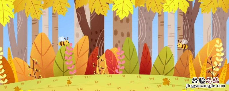 形容秋天很美的诗句小学 形容秋天很美的诗句