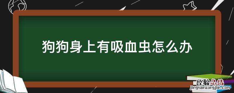 小狗身上吸血虫怎么办 狗狗身上有吸血虫怎么办