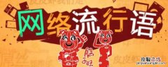 录制dz是什么意思