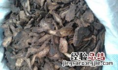 生地熟地一起煮的功效与作用 生地熟地一起功效与作用及食用方法