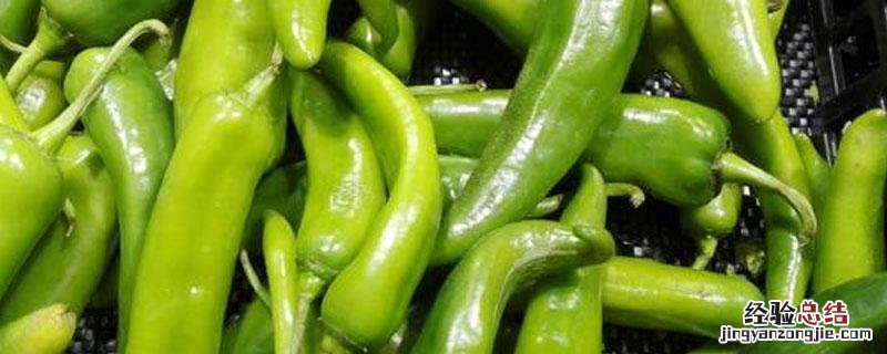 红辣椒属于什么菜类 辣椒属于什么类型菜