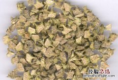 刺蒺藜 刺蒺藜皂甙