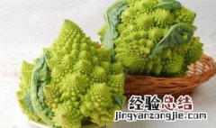 宝塔菜的功效与作用 宝塔菜的功效与作用禁忌